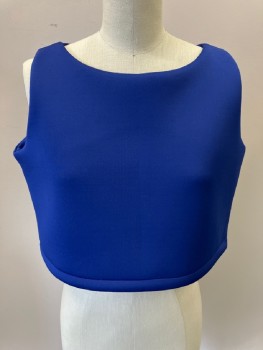 Womens, Sci-Fi/Fantasy Top, N/L, Royal Blue, Polyester, Solid, S, Sleeveless , Scoop Neck Line , Cropped