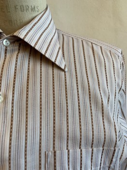 ARROW, Brown, Beige, White, Cotton, Stripes - Vertical , C.A., Button Front, L/S, 1 Pocket,