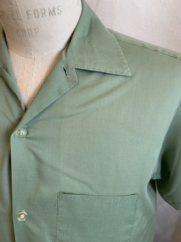 VAN CORT, Sage Green, Poly/Cotton, Solid, S/S, Button Front, Chest Pockets, Tan Blind Stitching