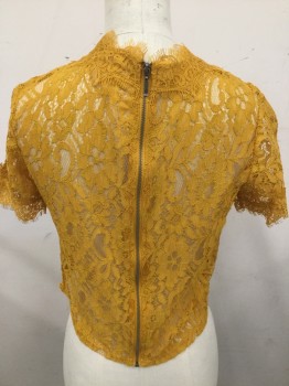 NL, Mustard Yellow, Polyester, Spandex, Floral, Lace, Rope Applique Detail, Scalloped Mock Neck, Short Sleeves, Cropped, Back Zipper,