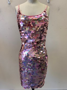 RAMPAGE, Pink, Polyester, Plastic, Paillettes, Beaded Spaghetti Straps, Scoop Neck, Mini Length, Has Multiples