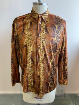 ATLANTIC CONNECTION, Brown, Tan Brown, Mustard Yellow, Polyester, Spandex, Reptile/Snakeskin, C.A., Button Front, L/S, Gold Buttons