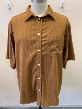 H. DOGGEN, Caramel Brown, Polyester, Elastane, Solid, S/S, Button Front, Corduroy, White Top Stitch, Plastic Pearl Buttons