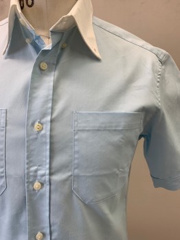 Mens, Casual Shirt, Gianfranco Ferre , Powder Blue, White, Polyester, Rayon, Solid, S, S/S, Button Down contrast Collar, One Pocket ,Pearl Button, Uniform for Korean Air 2005