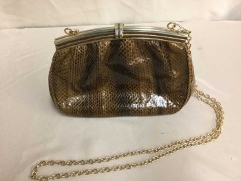 Womens, Purse, SANES, Brown, Dk Brown, Snakeskin/Reptile, Small, Gold Rounded Closure, Gold Chain