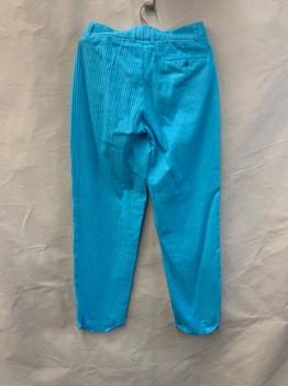 NL, Aqua Blue, Poly/Cotton, Herringbone, Side Pockets, Zip Front, 2 Buttons, Pleated Front, 1 Back Welt Pocket