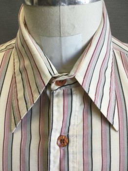 ALEXANDER'S, Cream, Wine Red, Black, Gray, Poly/Cotton, Stripes - Vertical , Short Sleeves, Collar Attached, Button Front, 1 Pocket,