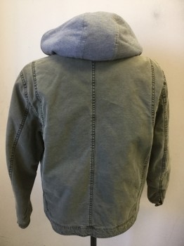 Mens, Casual Jacket, GUESS, Olive Green, Gray, Beige, Cotton, Polyester, Solid, Large, Zip Front, Removable Faux Hoodie That Zips Out, Jacket with Many Pockets, Canvas,