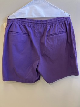 J. CREW, Purple, Solid, Elastic Waist Band With Drawstring, 4 Pckts,