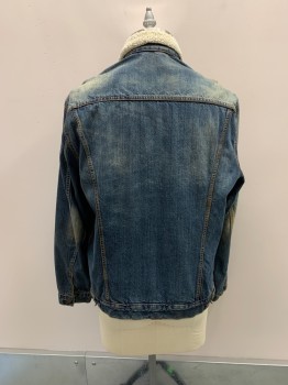 Mens, Jean Jacket, LEVI'S, Denim Blue, Cotton, Shearling, Faded, 44, White Shearling Collar, Button Front, 4 Pockets *Aged/Distressed* MULTS