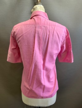 LACOSTE, Pink, Cotton, Peter Pan Collar, Button Front, S/S