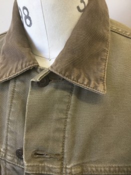 Mens, Jean Jacket, LEVI'S, Lt Brown, Cotton, Solid, M, Dusty Light Brown Denim/Canvas, Button Front, Light Brown Corduroy Collar Attached, 4 Pockets, Lining is Gray with Dark Gray and Red Horizontal Stripes