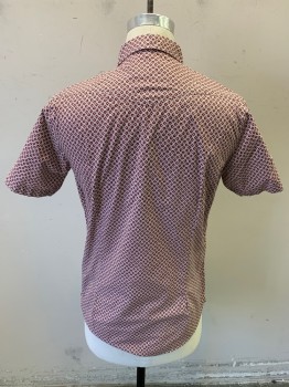 BEN SHERMAN, White, Maroon Red, Cotton, Geometric, Swirl , Short Sleeves, Button Front, 7 Buttons, Back Darts