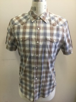 LEVI'S, Off White, Brown, Slate Blue, Cotton, Plaid-  Windowpane, Off White Background with Brown & Slate Blue Windowpane, Short Sleeves, Snap Front, Collar Attached, White and Silver Snaps, 2 Pockets with Snap Closures, Western Style Yoke **Has Been Altered (Taken In) at Sides