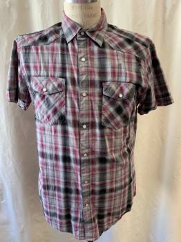 J. FERRAR, Dk Gray, Gray, Raspberry Pink, Cotton, Plaid, Collar Attached, Snap Front, Short Sleeves, 2 Flap Pockets with Snap Button