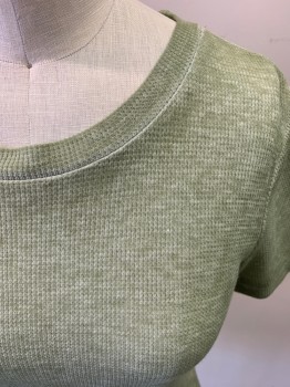 Womens, Top, PLANET GOLD, Sage Green, Poly/Cotton, Heathered, S, Short Sleeves, Crew Neck, Rib Knit