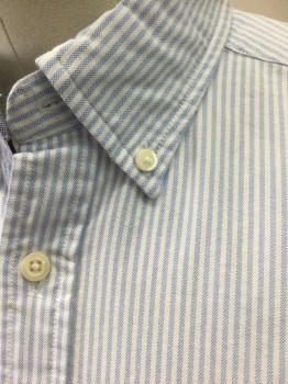 TOMMY HILFIGER, Lt Blue, White, Cotton, Stripes - Vertical , Oxford Weave, Long Sleeve Button Front, Collar Attached, Button Down Collar, **Has a Double