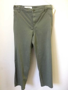 STYLE & CO, Lt Olive Grn, Cotton, Polyester, Solid, Light Olive, Flat Front, Zip Front, W/belt Hoops
