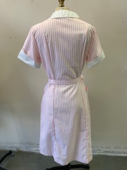 Womens, Waitress/Maid, WHITE SWAN, White, Baby Pink, Poly/Cotton, Stripes - Vertical , W30, B34, Short Sleeves, 3 Pockets, Zip Front, Scallop Trim, Detached Belt