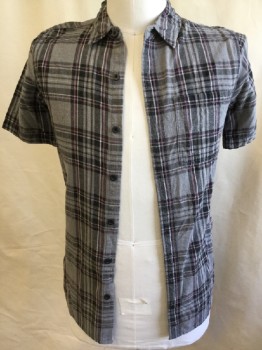 PAC SUN, Heather Gray, Black, Pink, White, Cotton, Plaid, Collar Attached, Button Front, 1 Pocket, Short Sleeves,