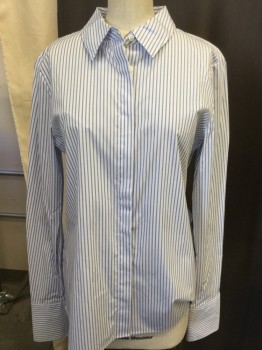 CALVIN KLEIN, White, Blue, Cotton, Spandex, Stripes, Collar Attached, Long Sleeves, Hidden Placket Button Front, Wide Cuff