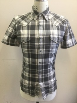 ROEBUCK & CO, Gray, Off White, Lt Gray, Beige, Baby Blue, Cotton, Plaid, Short Sleeve, Snap Front, Collar Attached, Gray and Silver Snaps, 2 Pockets with Snap Closures, Western Style Yoke **Has Been Altered, Taken in at Sides