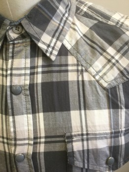 Mens, Western, ROEBUCK & CO, Gray, Off White, Lt Gray, Beige, Baby Blue, Cotton, Plaid, S, Short Sleeve, Snap Front, Collar Attached, Gray and Silver Snaps, 2 Pockets with Snap Closures, Western Style Yoke **Has Been Altered, Taken in at Sides