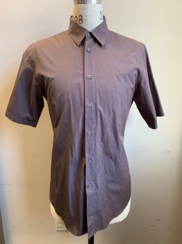 JILL SANDER, Putty/Khaki Gray, Polyester, Cotton, Solid, S/S, Button Front, Collar Attached