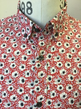 ZARA, Red, Off White, Lt Gray, Black, Periwinkle Blue, Cotton, Floral, Dark Red with Off White, Light Gray, Black, Periwinkle Floral Print, Collar Attached, Button Down, Dark Gray Button Front, Long Sleeves,