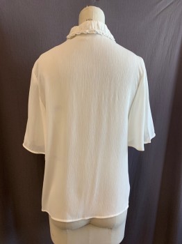 Womens, Blouse, ZARA BASIC, Off White, Black, Polyester, Solid, XS, Short Sleeves, Button Front, Ruffled Collar Attached, Black Ribbon at Neckline, Pleated Rows at Bust