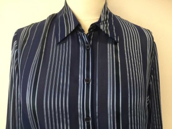 JONES NY, Navy Blue, Black, Silver, Polyester, Stripes - Vertical , Sheer Navy W/black, Silver Vertical Stripes, Collar Attached, Button Front, Long Sleeves,