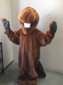 Unisex, Walkabout, MTO, Brown, Dk Brown, Faux Fur, Faux Leather, XXXL, BEAVER - HEAD- Cartoon Style, Oversized, Foam Construction, Package Includes, Body, Gloves, Spats And Slippers