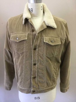 Mens, Casual Jacket, OLD NAVY, Tan Brown, Cream, Cotton, Solid, S, Tan Corduroy Jacket, 4 Pockets, Button Front, Back Side Tab Button Waist, Cream Fleece Collar Attached