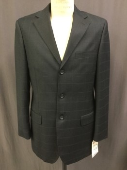 Mens, Suit, Jacket, CARAVELLI, Charcoal Gray, Gray, Wool, Grid , 32, 38R, 31, Single Breasted, Notched Lapel, 3 Buttons,  Pockets,
