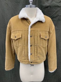 Mens, Casual Jacket, LEVI'S, Tan Brown, Cotton, Solid, S, Corduroy, White Fleece Lining, Snap Front, 2 Flap Pockets, Yoke, Snap Cuff