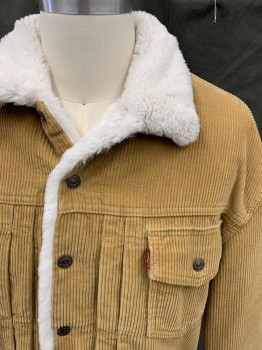 Mens, Casual Jacket, LEVI'S, Tan Brown, Cotton, Solid, S, Corduroy, White Fleece Lining, Snap Front, 2 Flap Pockets, Yoke, Snap Cuff