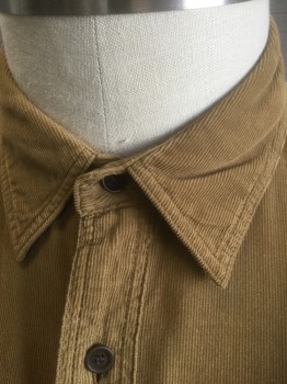 BURBERRY BRIT, Tan Brown, Cotton, Solid, Corduroy, Long Sleeve Button Front, Collar Attached, 2 Pockets with Button Flap Closures, Epaulettes at Shoulders, Slim Fit