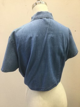 AMERICAN APPAREL, Blue, Cotton, Solid, Button Front, Short Sleeves, Collar Attached, Self Tie Front