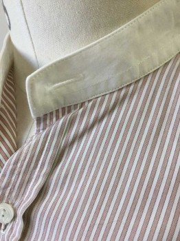 DARCY, White, Beige, Cotton, Stripes - Vertical , White and Beige Vertical Stripes, Long Sleeves, 3 Button Front, Solid White Band Collar, Button Cuffs, Reproduction Turn of the Century