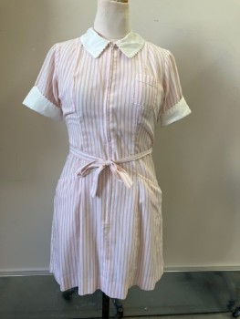 Womens, Waitress/Maid, WHITE SWAN, White, Pink, Polyester, Cotton, Stripes - Vertical , W28, B36, H38, 80s Zip Front, 3 Pckts, C.A., S/S, MATCHING BELT, Sleeves Are Cuffed, Cuffs, Breast Pckt, And Collar Are Trimmed In Rickrack