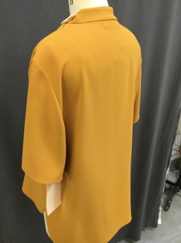ZARA, Gold, Polyester, Solid, Short Sleeves, Round Neck,  with Extra Collar Band & Button, Zip Up Shoulder, Pull Over