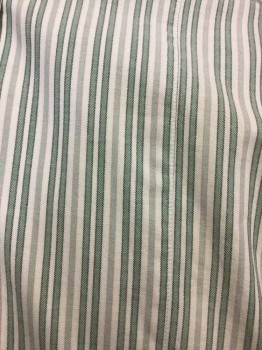 DARCY, White, Sea Foam Green, Black, Mauve Pink, Sage Green, Cotton, Stripes, 3 Buttons, White Collar Band, Long Sleeves, Pleated Center Front, M