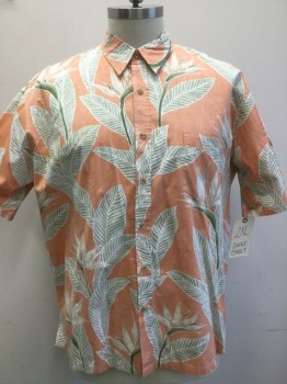 COOKE STREET, Orange, Off White, Khaki Brown, Green, Cotton, Floral, Short Sleeves, Collar Attached, Button Front, Pocket,