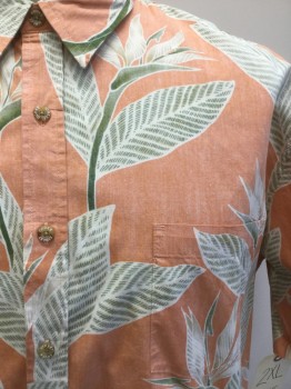COOKE STREET, Orange, Off White, Khaki Brown, Green, Cotton, Floral, Short Sleeves, Collar Attached, Button Front, Pocket,