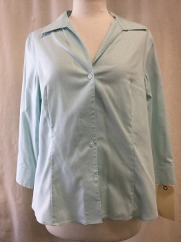 Womens, Blouse, ANNE KLEIN, Mint Green, Cotton, Solid, M, Button Front, Collar Attached, V-neck, Long Sleeves,