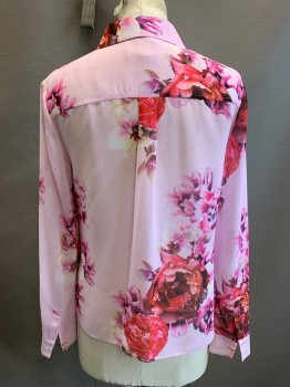 TED BAKER, Pink, Red, Purple, Polyester, Floral, L/S, Button Front, Sheer, Grosgrain Placket, Pearl/rose Gold Buttons