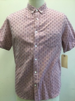 OXFORD LADS, Pink, Purple, Cotton, Check , Button Front, Short Sleeves, Button Down Collar Attached, Pocket,
