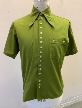 Mens, Casual Shirt, N/L, Avocado Green, Cotton, Solid, S, N:14.5, Short Sleeves, Button Front with Additional Decorative Buttons, Oversized Collar Attached, 1 Patch Pocket with 2 Decorative Buttons, 1970's