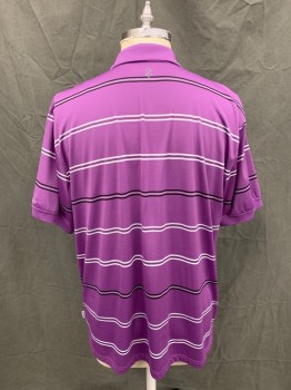 IZOD, Purple, White, Black, Gray, Polyester, Stripes, 3 Buttons,  Ribbed Knit Collar Attached, Short Sleeves, Ribbed Knit Cuff