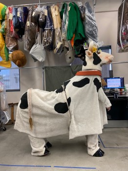 MTO, Off White, Black, Red, Yellow, Faux Fur, Metallic/Metal, Color Blocking, Cow, 5 Pieces, Front Body, Has Harness That Rests on the Shoulders, Pink Collar with Cow Bell, Cow Has 4 Legs and 2 Arms - is a Mutant.
